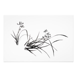 Chinesische Iris im Frühling Fotodruck