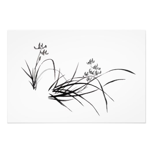 Chinesische Iris im Frühling Fotodruck (Vorne)
