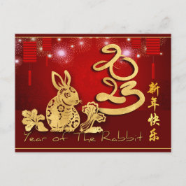 Chinesische Lanterns Feuerwerk Rabbit Jahr 2023 HP Postkarte