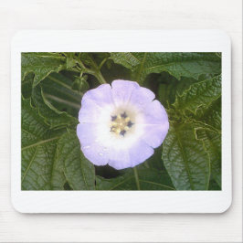 Chinesische Laterne Mousepad