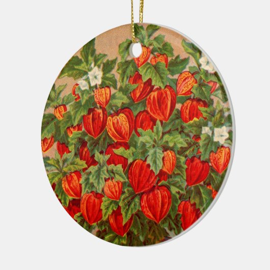 Chinesische Laterne-Pflanze Keramikornament (Links)