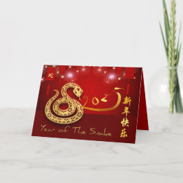 Chinesische Laternen Feuerwerk Schlange Jahr 2025  Karte