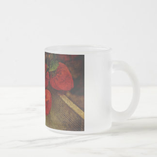 Chinesische Laternenfrucht-Pflanze Mattglastasse