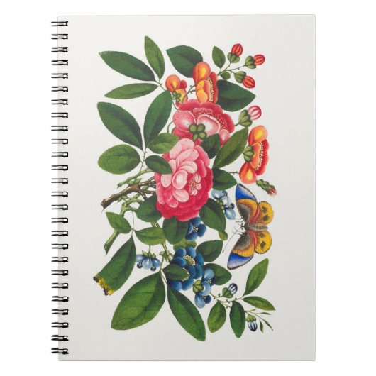 Chinesische Peony Colorful Blume Qing Dynsty Notizblock (Vorderseite)