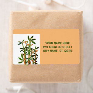 Chinesische Pflanze mit Lucky Bamboo. personalisie