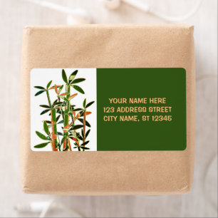 Chinesische Pflanze mit Lucky Bamboo. personalisie