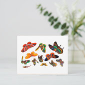 Chinesische Schmetterling- und Insektenmalerei-Qin Postkarte (Stehend Vorderseite)