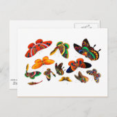 Chinesische Schmetterling- und Insektenmalerei-Qin Postkarte (Vorne/Hinten)