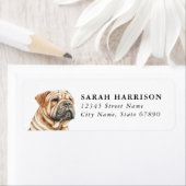 Chinesische Shar Pei-Adressetiketten (Insitu)