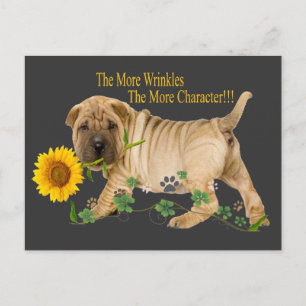 Chinesische Shar-Pei-Falten Geschenke Postkarte