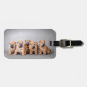 Chinesische Shar-Pei-Welpen Gepäckanhänger (Vorderseite horizontal)