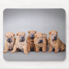 Chinesische Shar-Pei-Welpen Mousepad
