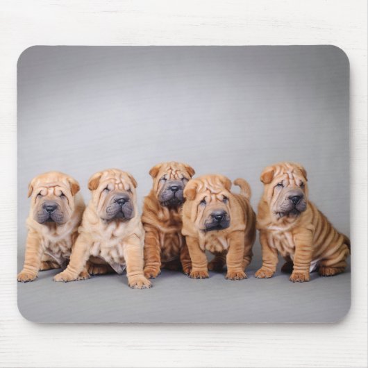 Chinesische Shar-Pei-Welpen Mousepad (Vorne)
