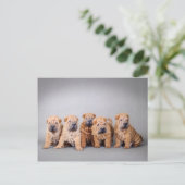 Chinesische Shar-Pei-Welpen Postkarte (Stehend Vorderseite)