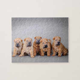 Chinesische Shar-Pei-Welpen Puzzle