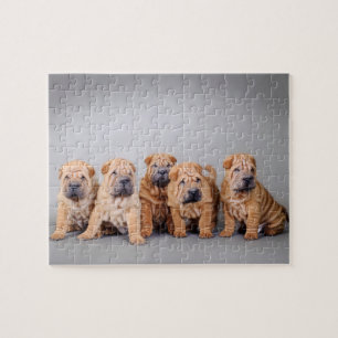 Chinesische Shar-Pei-Welpen Puzzle