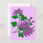 Chinesische Spinnenchrysanthemen - Lavendel Postkarte (Vorne/Hinten)