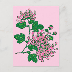 Chinesische Spinnenchrysanthemen - sanftrosa Postkarte