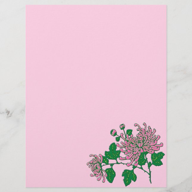 Chinesische Spinnenchrysanthemen, weich rosa (Vorderseite)
