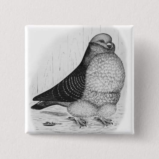 Chinesische Taubenfarbe Zeichnend Button (Vorderseite)