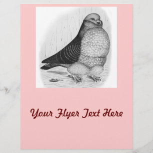 Chinesische Taubenfarbe Zeichnend Flyer