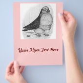 Chinesische Taubenfarbe Zeichnend Flyer (Hand)