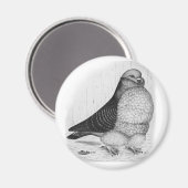 Chinesische Taubenfarbe Zeichnend Magnet (Vorderseite/Rückseite)