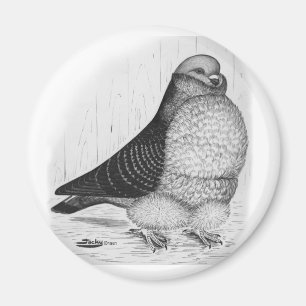 Chinesische Taubenfarbe Zeichnend Magnet