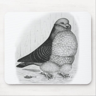 Chinesische Taubenfarbe Zeichnend Mousepad