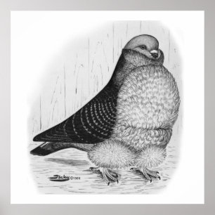 Chinesische Taubenfarbe Zeichnend Poster