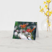 Chinesische Tiger-Lilien-Blumen addieren Ihren Karte (Gelbe Blume)