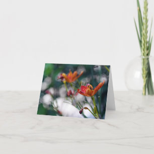 Chinesische Tiger-Lilien-Blumen addieren Ihren Karte