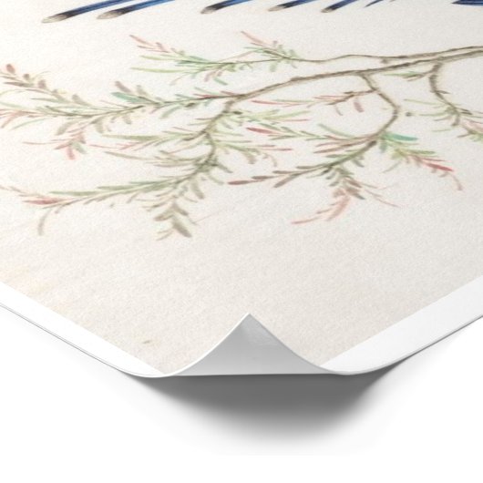 Chinesische Vogelmalerei Poster (Ecke)