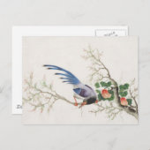 Chinesische Vogelmalerei Postkarte (Vorne/Hinten)