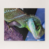 Chinesische Wasser-Drache-Eidechse Puzzle (Horizontal)