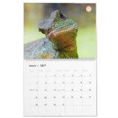 Chinesische Wasser-Drachen Kalender (Mär 2027)