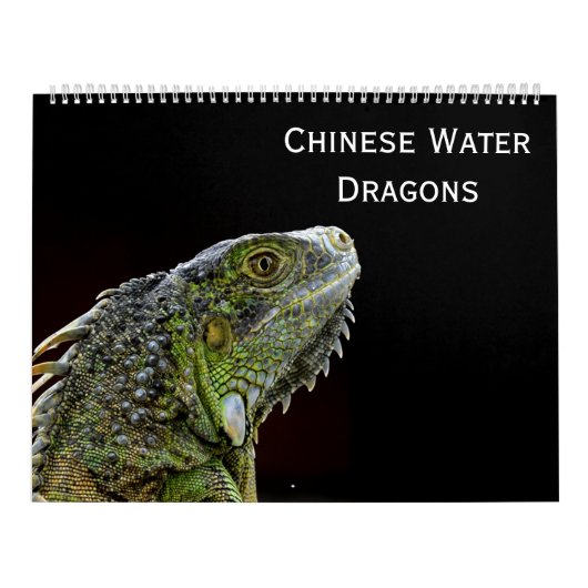 Chinesische Wasser-Drachen Kalender (Titelbild)