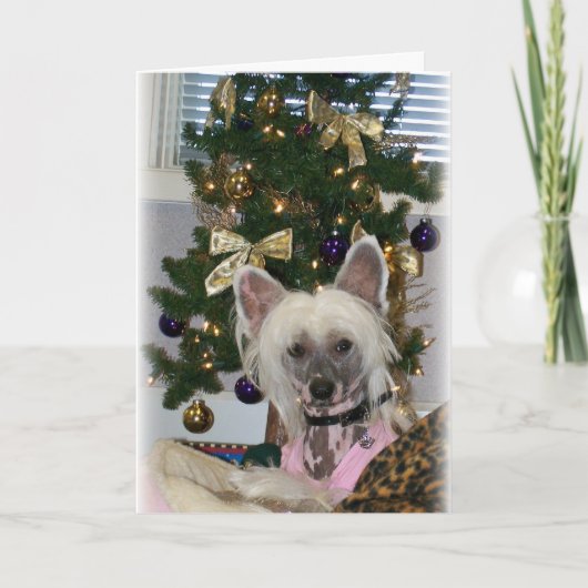 Chinesische Weihnachtskarte Feiertagskarte (Vorderseite)