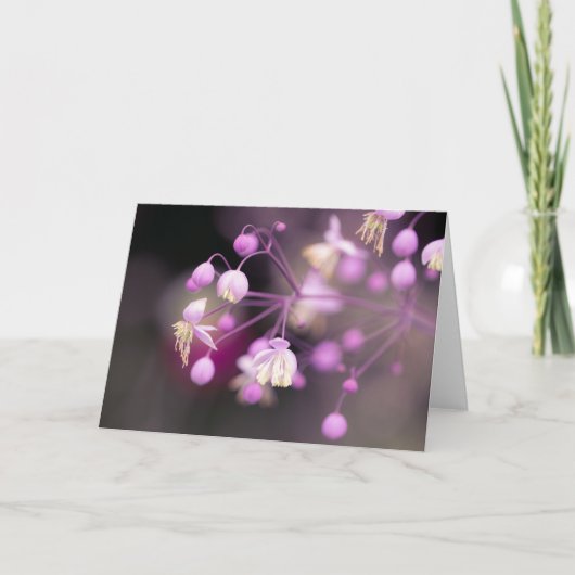 Chinesische Wiesenrutsche-Blume Karte (Vorderseite)