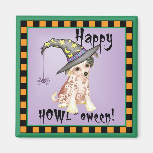 Chinesische Zierhexe Magnet (Vorne)