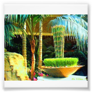 Chinesischer Bambu Fotodruck