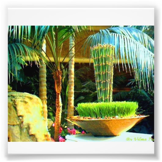 Chinesischer Bambu Fotodruck (Vorne)