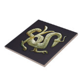 Chinesischer Drache aus alter Bronze Fliese (Seite)