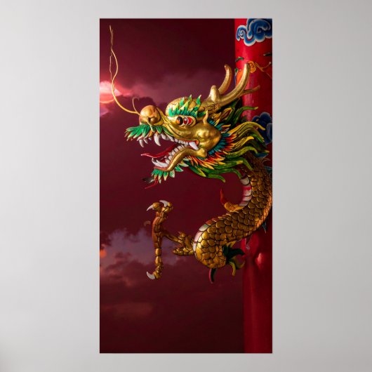 chinesischer Drache Poster (Vorne)