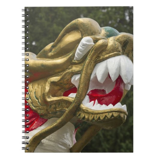 Chinesischer Drachenboot-Bug, Stanley Park Notizblock (Vorderseite)