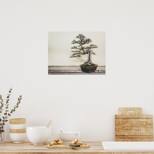 Chinesischer Elm Bonsai Tree im Winter Poster (Küche)