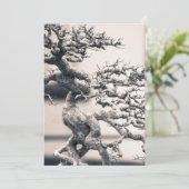 Chinesischer Elm Karte (Stehend Vorderseite)