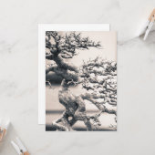 Chinesischer Elm Karte (Vorderseite/Rückseite Beispiel)