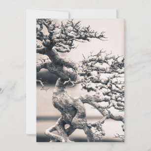 Chinesischer Elm Karte