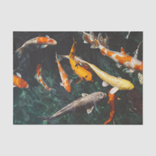 Chinesischer Fisch schwimmt im Wasser Seidenpapier